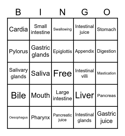 Systems of Nutrition: Digestion Bingo Card