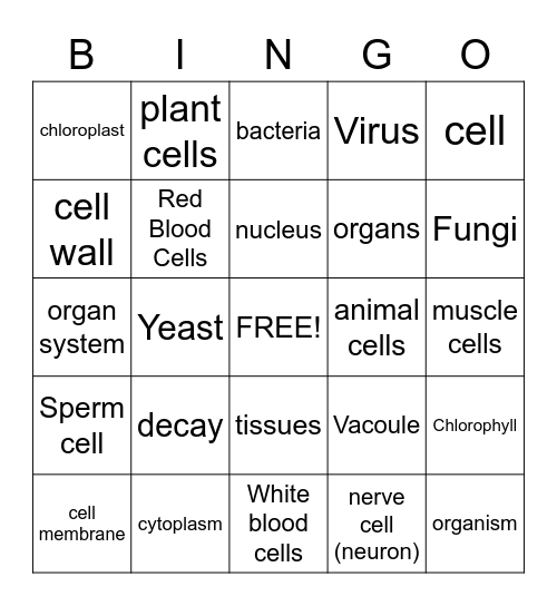Cells and Organisms Bingo Card