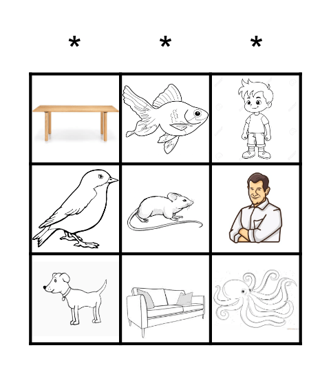 Young Stars 1 Bingo Card