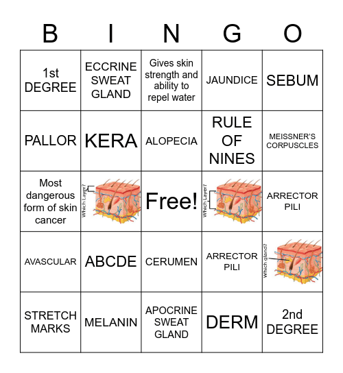 INTEGUMENT Bingo Card