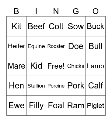 Animal Terminology Bingo Card