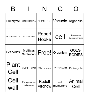 CELLS Bingo Card