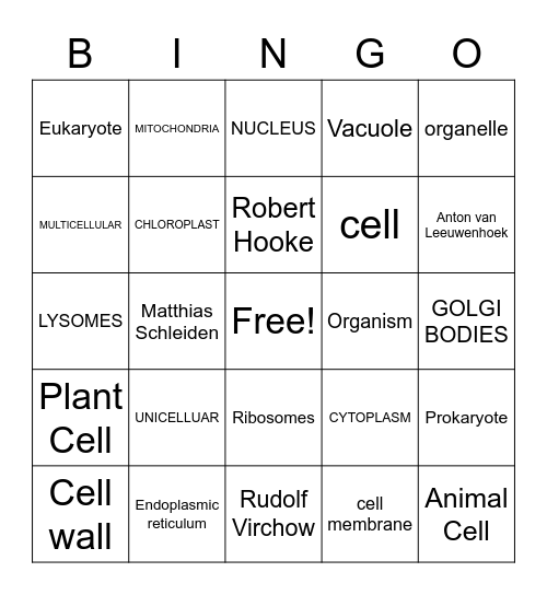 CELLS Bingo Card