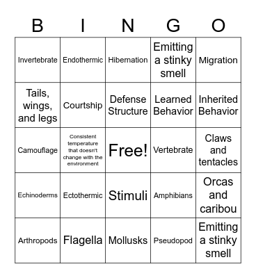 Animals Bingo Card