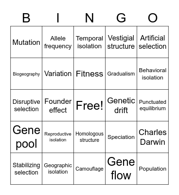Evolution Bingo Card