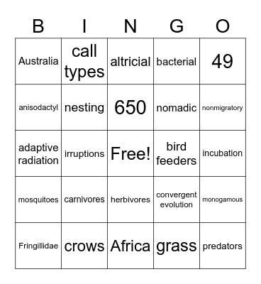 Fringillidae Bingo Card