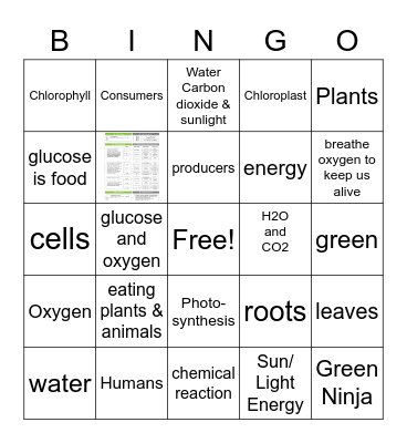 Photosynthesis Bingo Card