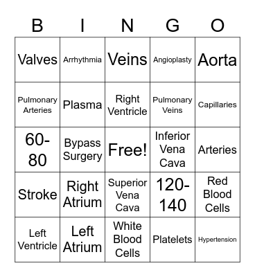 Circulatory System Bingo Card