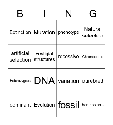 Science Vocab Bingo Card