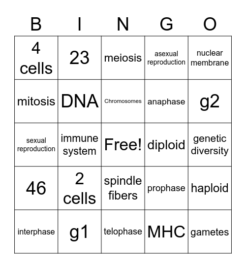 Cell Cycle Review Bingo Card