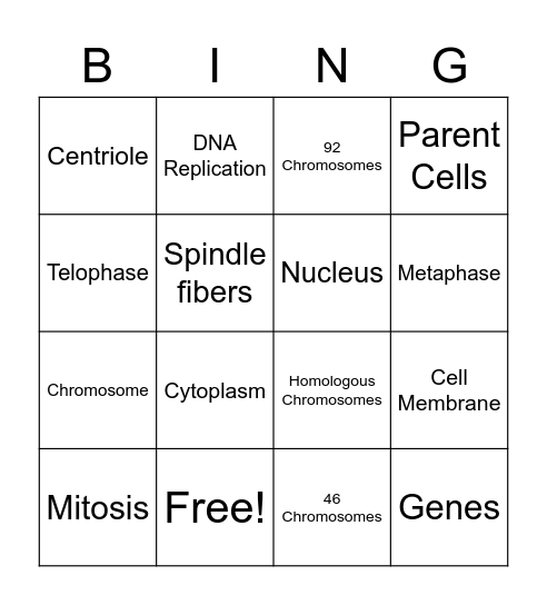 Mitosis BINGO! Bingo Card