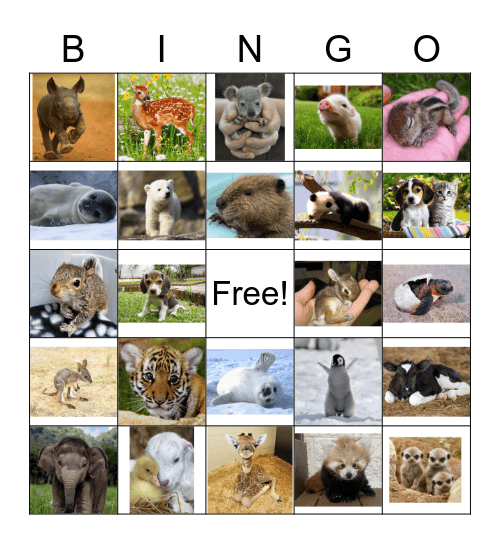 Baby Animal Cuteness! Bingo Card