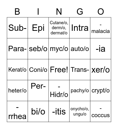 Integumentary System Bingo Card