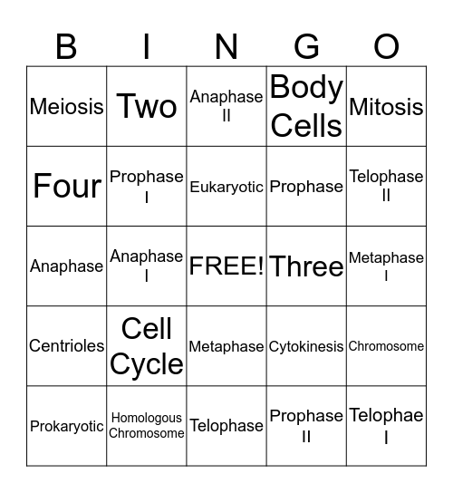 Cell Division Bingo Card