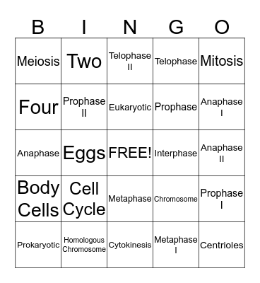 Cell Division Bingo Card