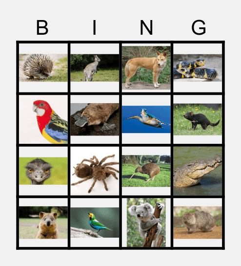 Australian Animals Bingo Card