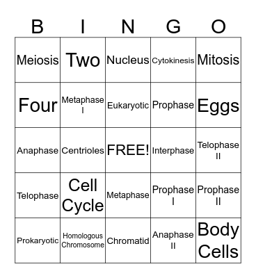 Cell Division Bingo Card