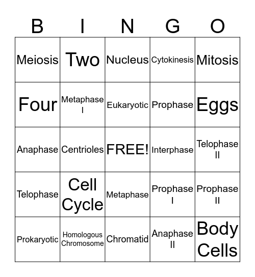 Cell Division Bingo Card