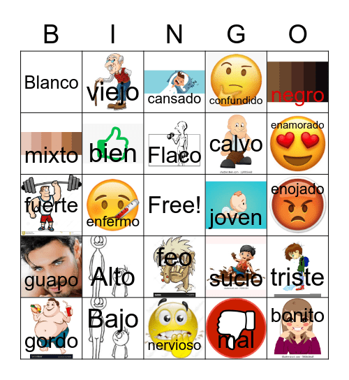 Physical Characteristics Bingo Card