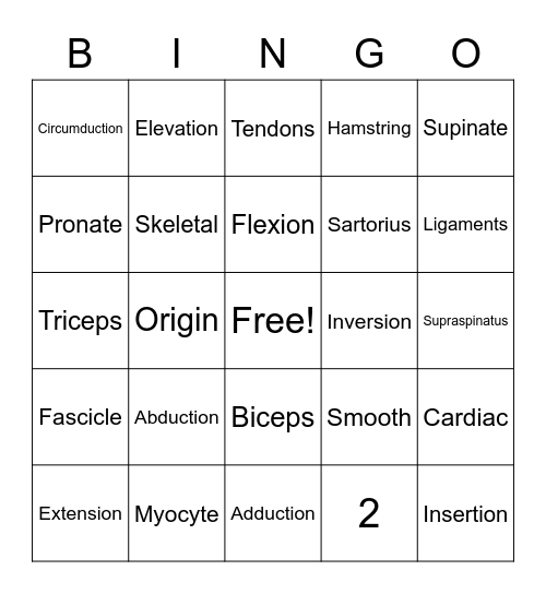 Muscles Bingo! Bingo Card
