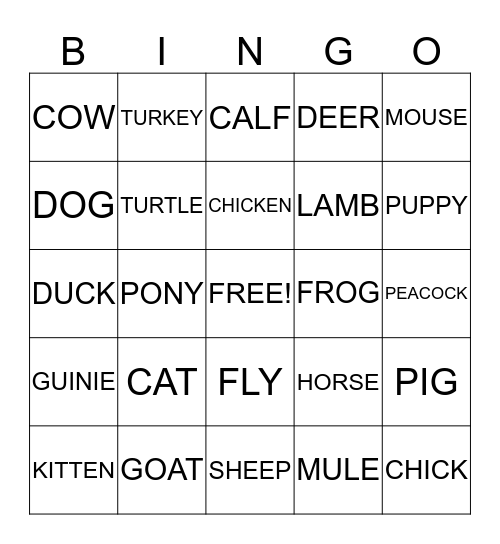 FUN TIME Bingo Card