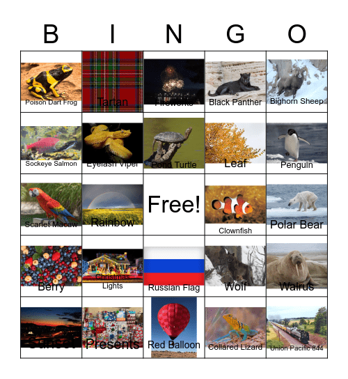 Colorful World Bingo Card