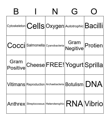 Do You Know Your Bacterias/Viruses?! Bingo Card