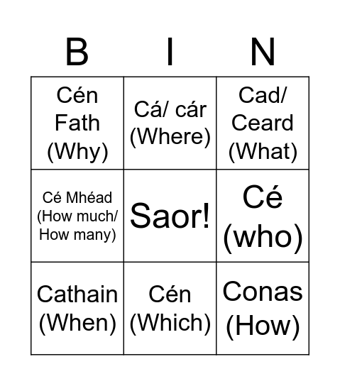 Na Ceisteanna Bingo Card