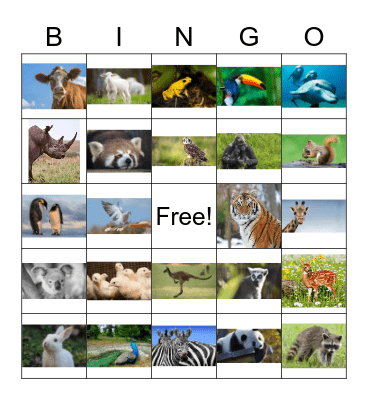 Animals Bingo Card