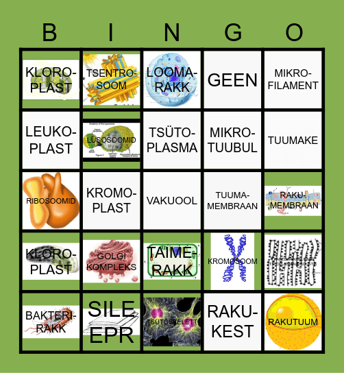 RAKUEHITUS. MITU MEMBRAANI VÕI KEST? Bingo Card