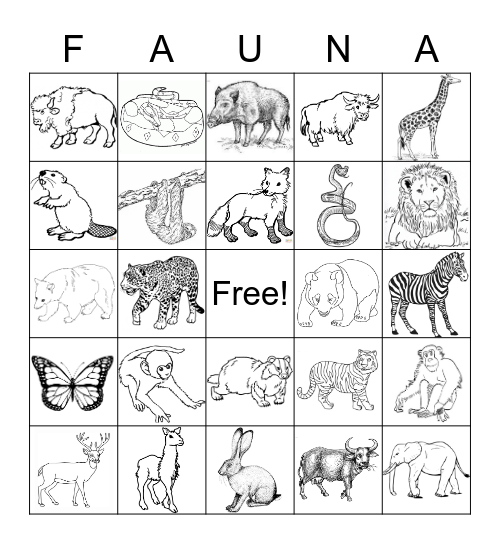 Animals of the Continents Coloring Bingo Card
