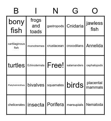 Animal Phylum Bingo Card