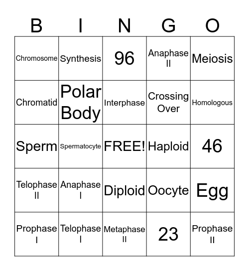 Meiosis Bingo Card
