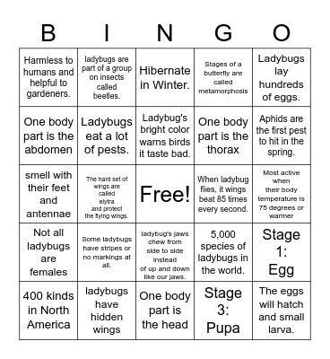 Ladybug Facts BINGO Card