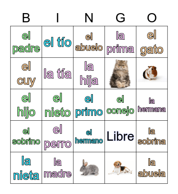 La familia y los parientes Bingo Card