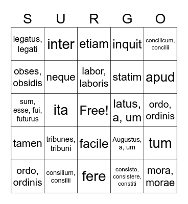 Henle Latin Vocab Lesson 23 Bingo Card