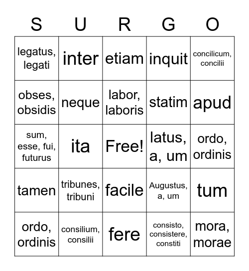 Henle Latin Vocab Lesson 23 Bingo Card