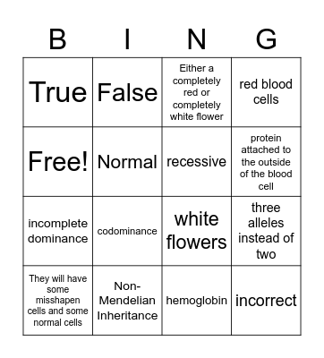 3.14 Bingo Card