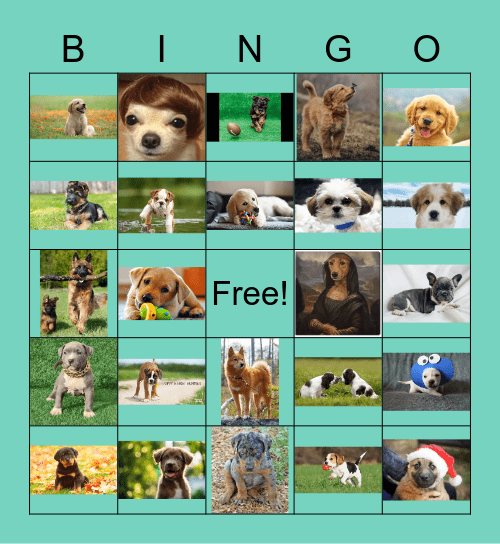 Puppiessss! Bingo Card