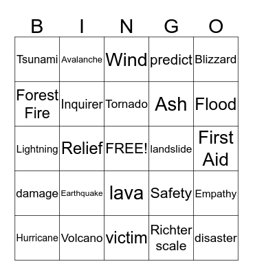 Disaster Detectives Bingo Card
