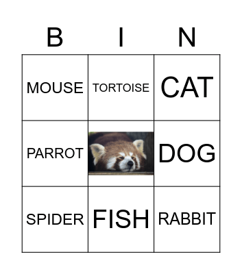 ANIMALS Bingo Card