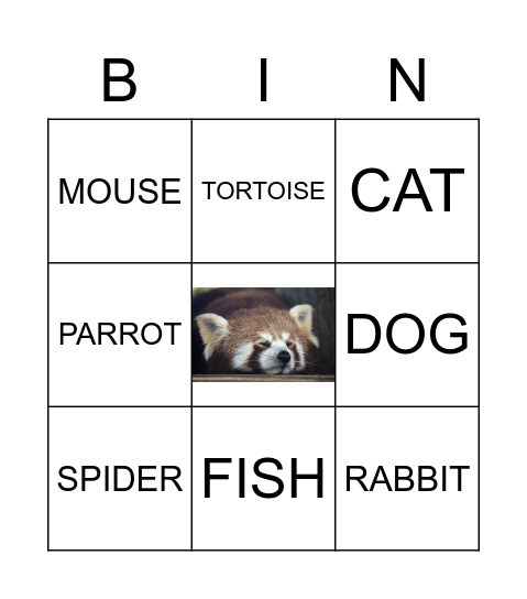 ANIMALS Bingo Card