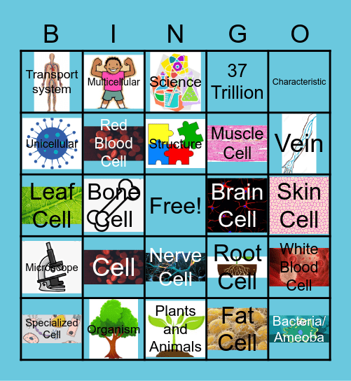 Cells! Cells! Cells! Bingo Card