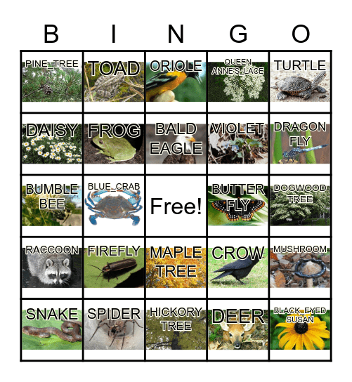 Wildlife Bingo Card