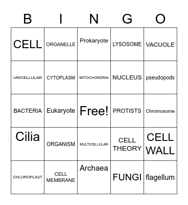 CELLS UNIT Bingo Card