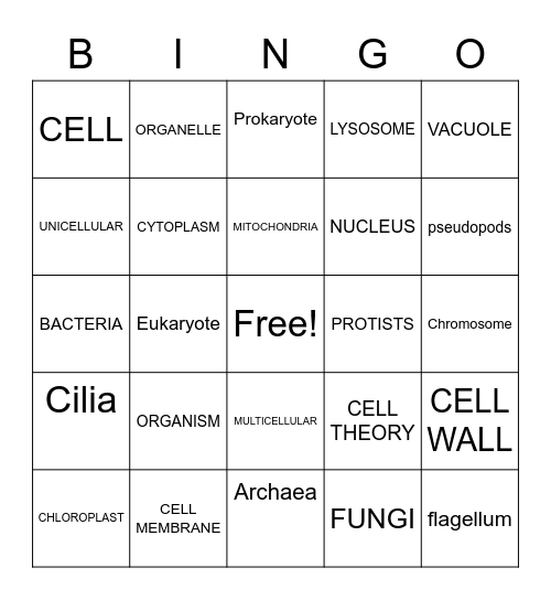 CELLS UNIT Bingo Card