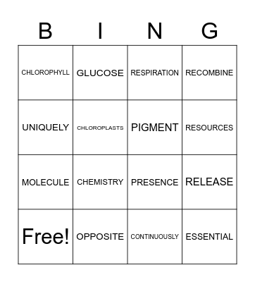 UNIT 2 REWARDS PLANTS Bingo Card