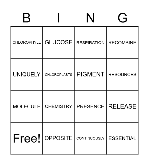 UNIT 2 REWARDS PLANTS Bingo Card