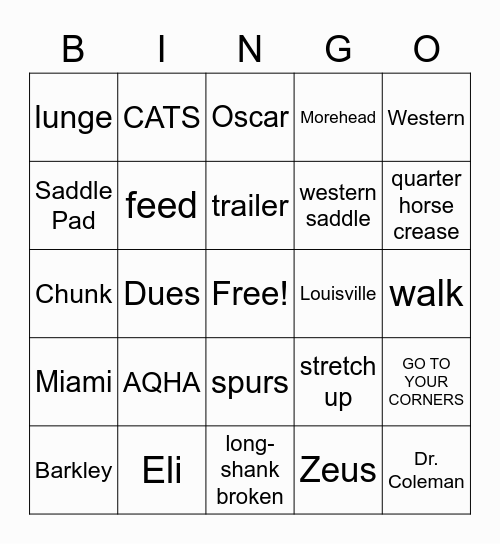 Western Equestrian Team Bingo Card