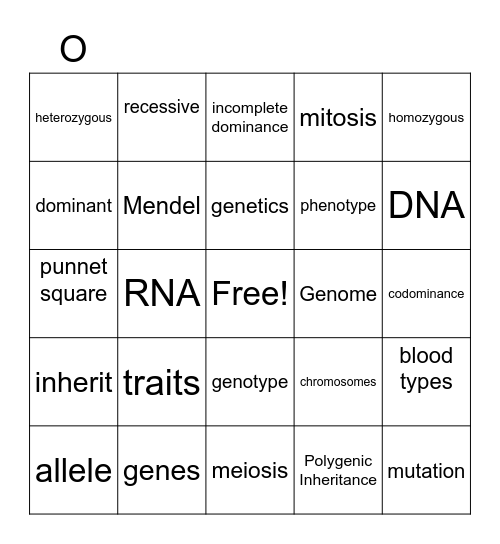 Heredity Vocabulary Bingo Card